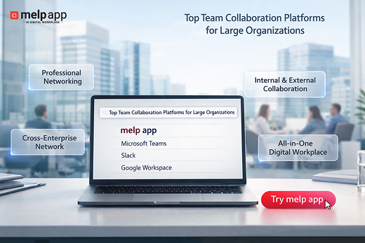 Top Team Collaboration Platforms for Large Organizations in 2026